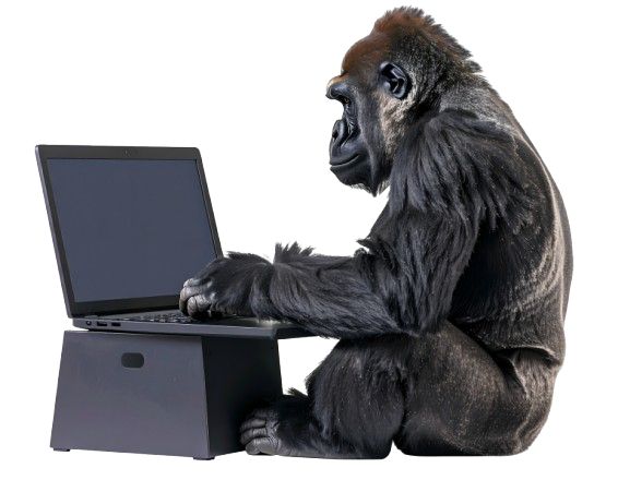Guerrilla Website