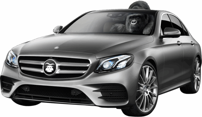 gorilla in mercedes